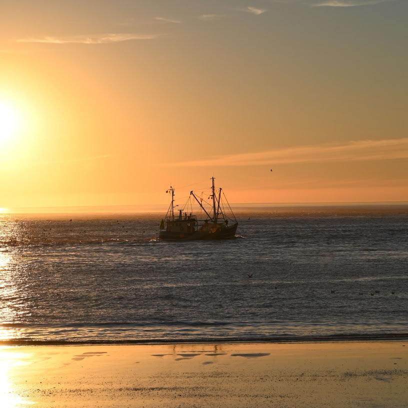 Kutter im Norderneyer Wattenmeer