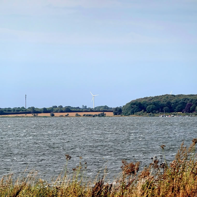 Schlei