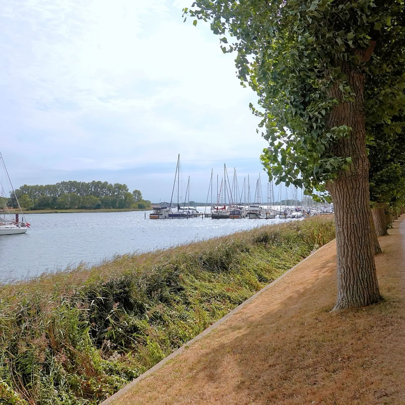 Schlei