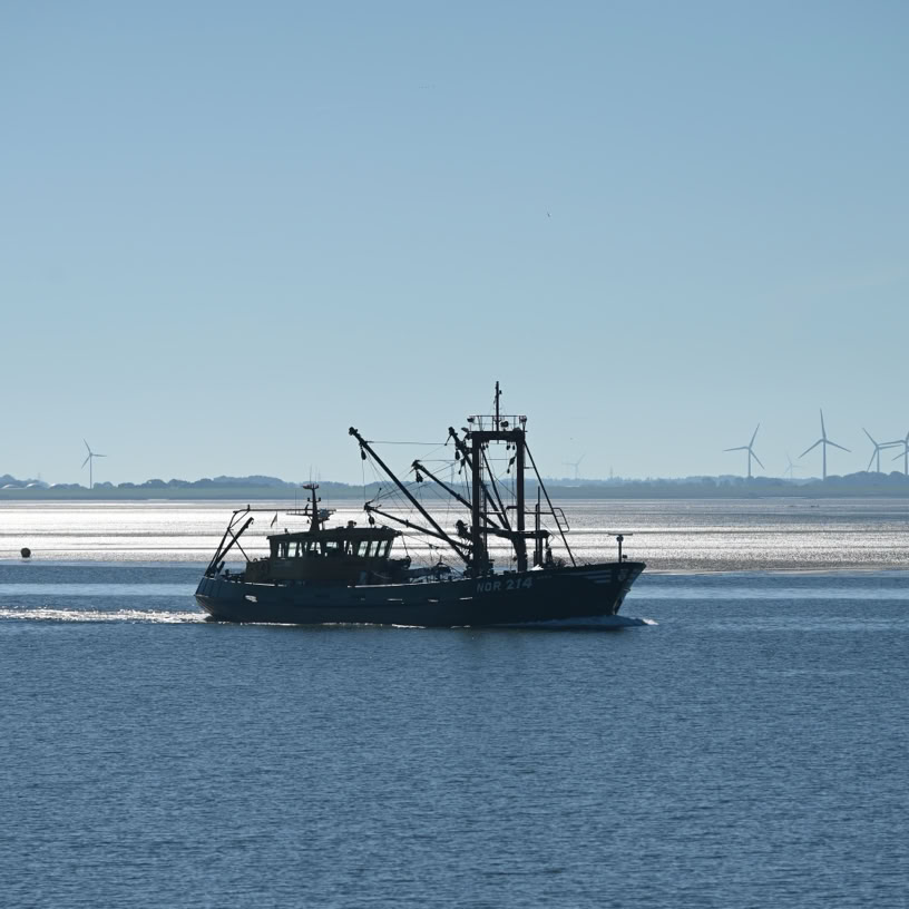 Kutter im Norderneyer Wattenmeer