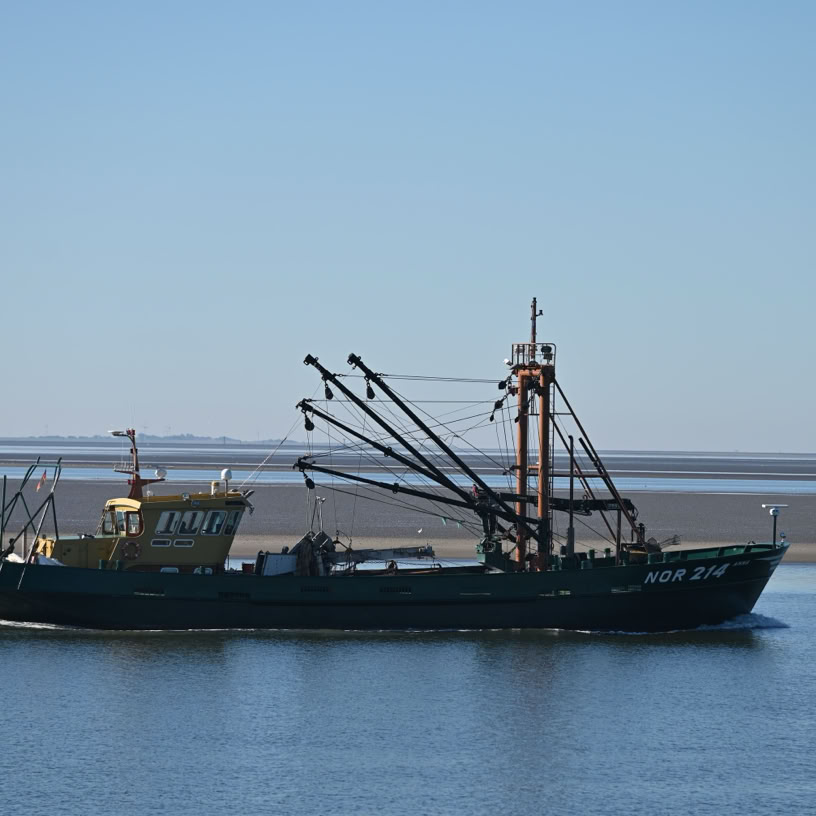 Kutter im Norderneyer Wattenmeer