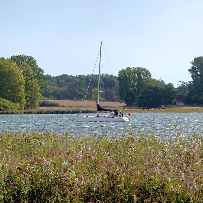 Schlei