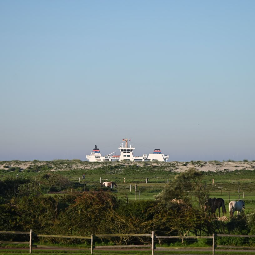 Kurz vor Norderneyer Hafen von der Insel fotografiert.