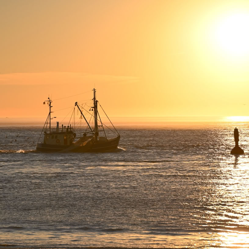 Kutter im Norderneyer Wattenmeer