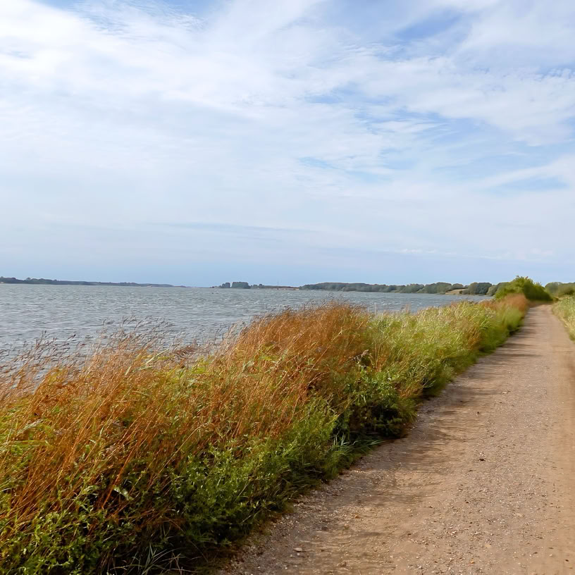 Schlei