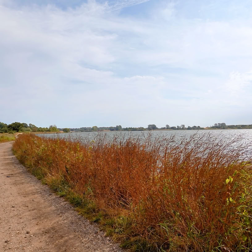 Schlei