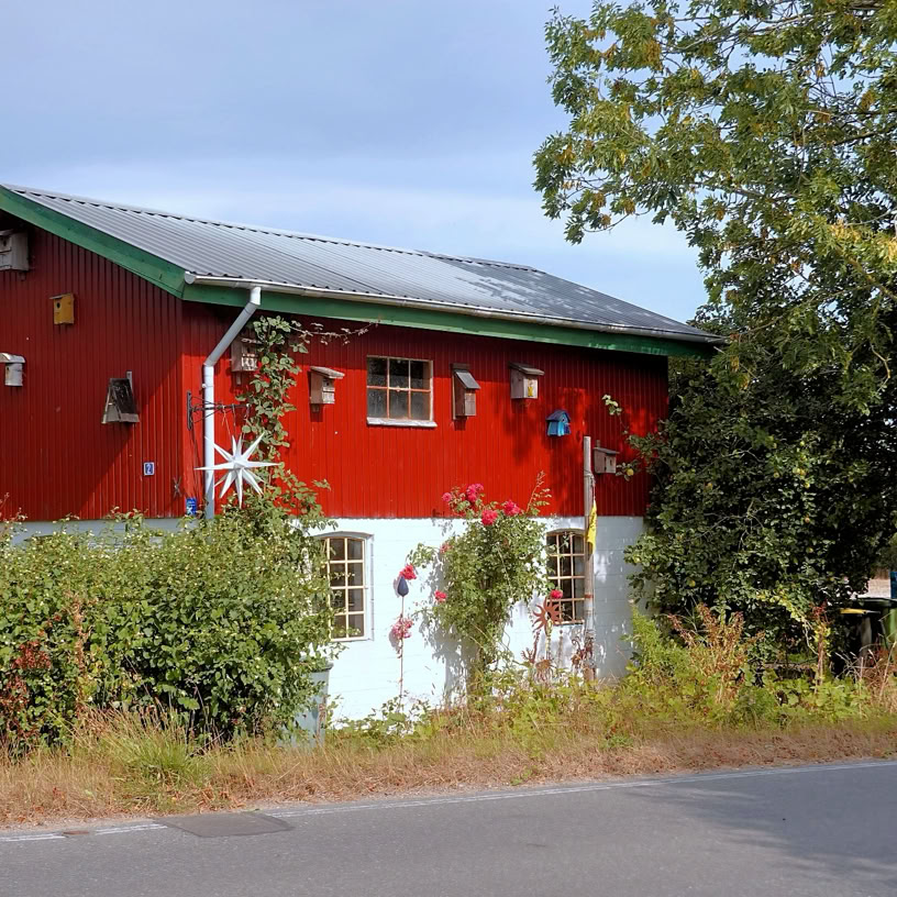 Schlei